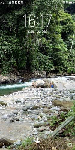 Albergue Jungleriver