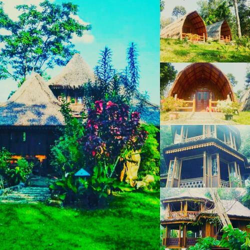Lodge Orangutan Bungalow