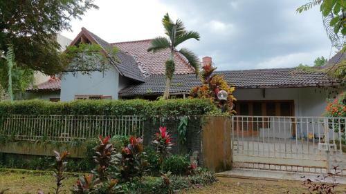 Rain Forest Villa
