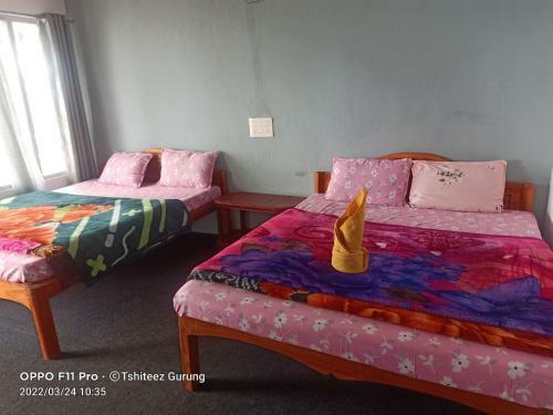 Greenland Homestay