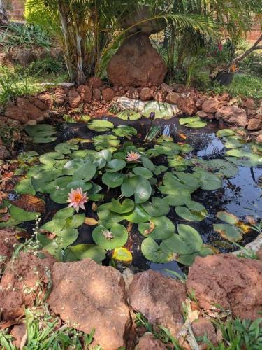 Gurusparsh Agroo Resort