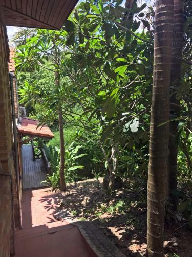 Tropical Hillside Villa