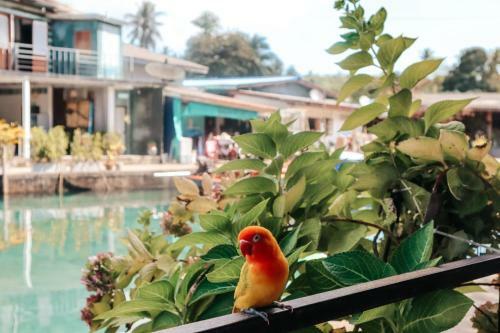 Hostal Baan Rabieng Talay Homestay??????????????? ???????????????