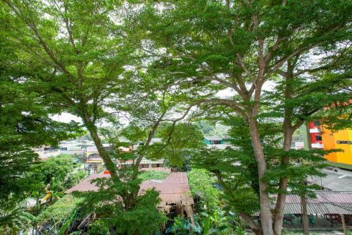 Tree Home ???????????????????????
