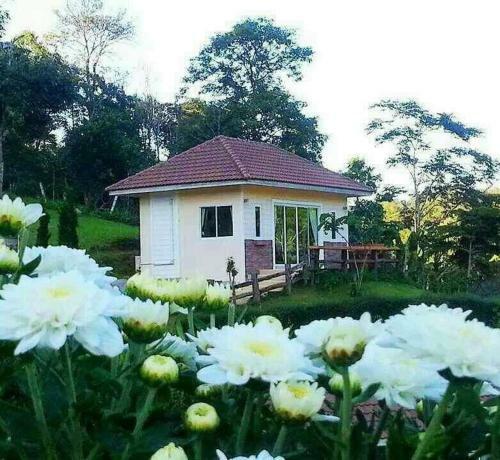 Bed & Breakfast Theroadview Resort