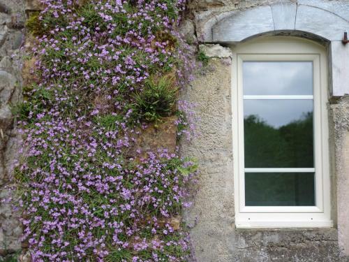 Bed & Breakfast Le Buala Maison D'h�tes