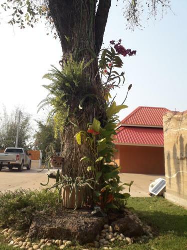 Apartamento Wapipathum Earthen House
