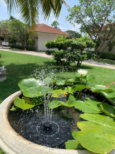 Hotel The Orchid House