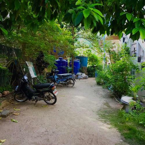 Albergue Tamonwan House Koh Tao