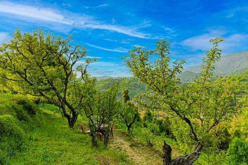 Villa Saffronstays El Sueno