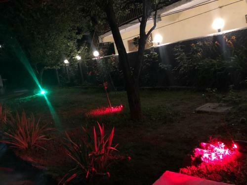 Shashwat Homestay With Garden View