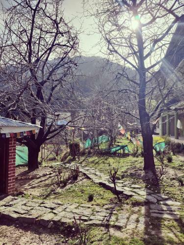 Hostal House Of Frida, Chandra Cottage