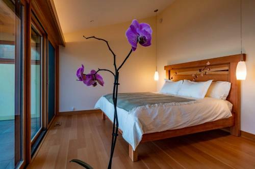 Hostal Lightwater Cove