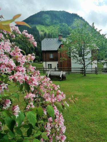 Apartamento Himmlisch Urlauben St. Nikolai