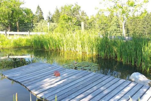 Apartamento Ferienwohnung B�ckerberg