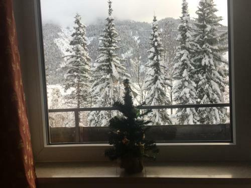 Apartamento Karwendel-lodge