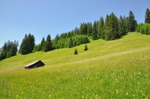 Apartamento Landhaus Alpensonne