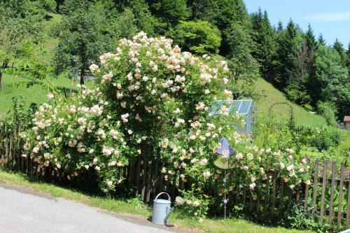 Apartamento Urlaub Mitten Im Wald - Lueg