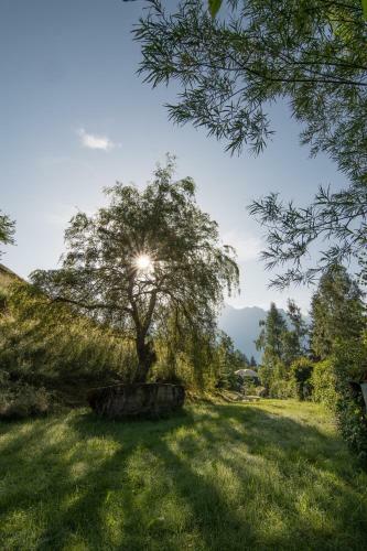 Chalet Astrid