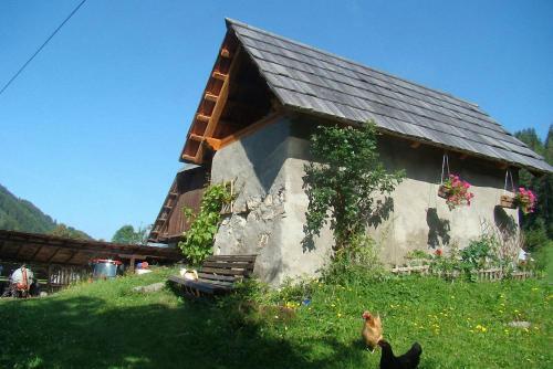 Agroturismo Bauernhof Hatzlhof