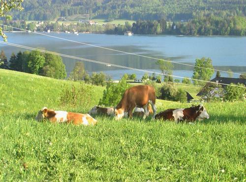 Bed & Breakfast Hauslhof