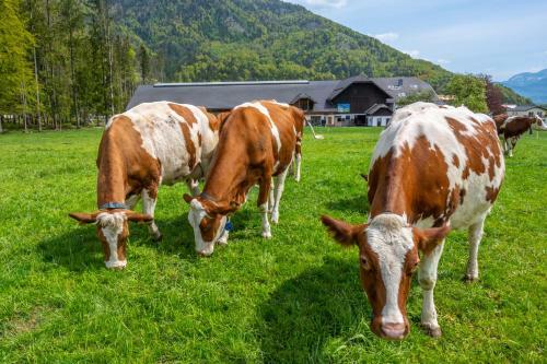 Agroturismo Im Ramsen