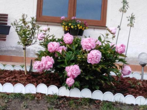 Apartamento Christl's Traum