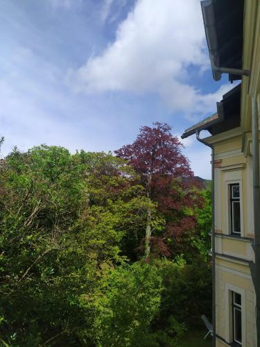 Apartamento Villa Petterhof