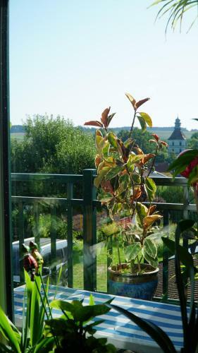 Apartamento Urlaub Am Ruthnerberg