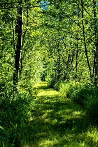 H�blinghof