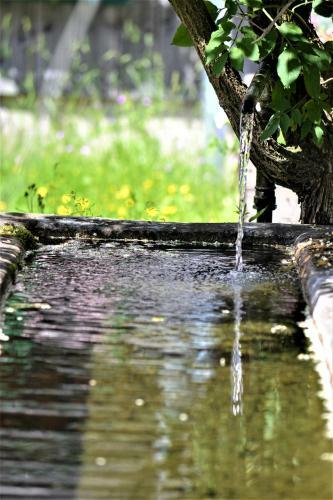 H�blinghof