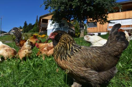 Agroturismo Ferienhaus Brittenberg