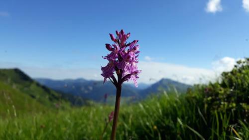 Apartamento Urlaub Bei Moses