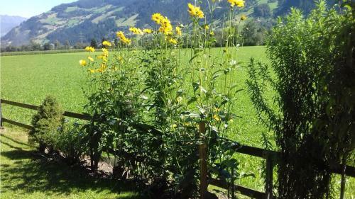 Bed & Breakfast Haus Kreidl