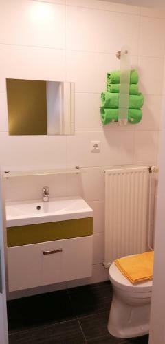 Apartamento G�stehaus Ruinenblick