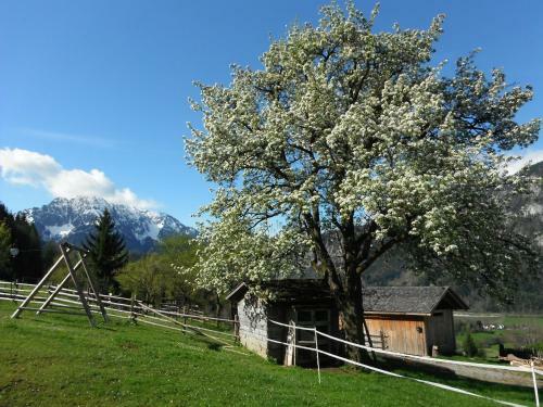 Agroturismo Berghof Thurnergut