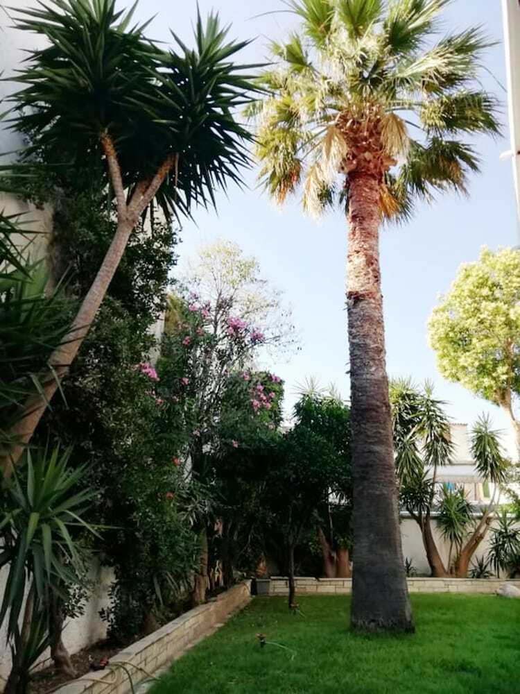 Hotel Pothos