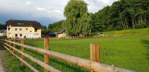Apartamento Haus Seidendorf