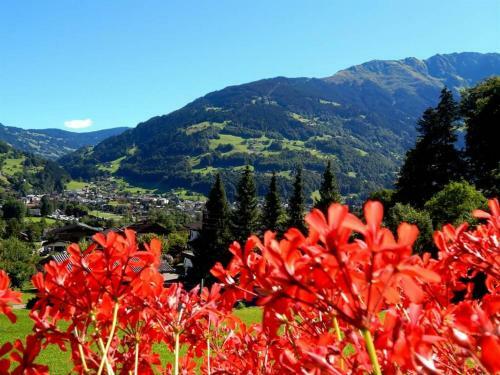 Apartamento G�stehaus Summer