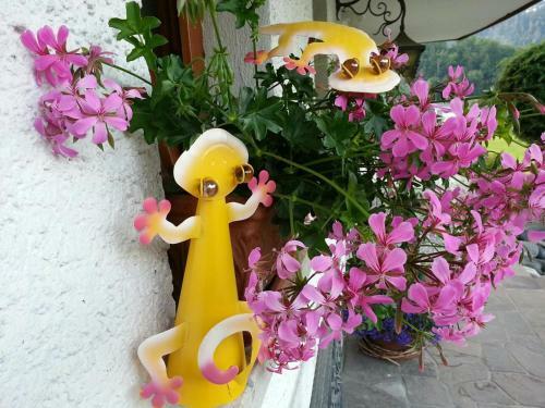 Apartamento G�stehaus Summer