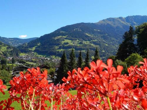 Apartamento G�stehaus Summer