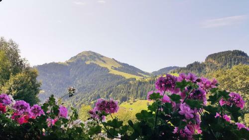 Apartamento Jodlhof