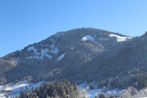 Apartamento Appartement Ilvy