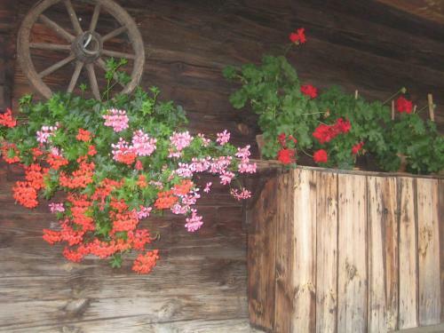 Apartamento Hof Zaunfranzl