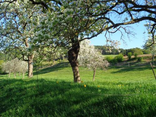 Hostal Pension Himmelreich
