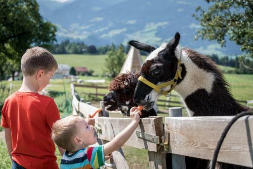 Chalet-karwendel