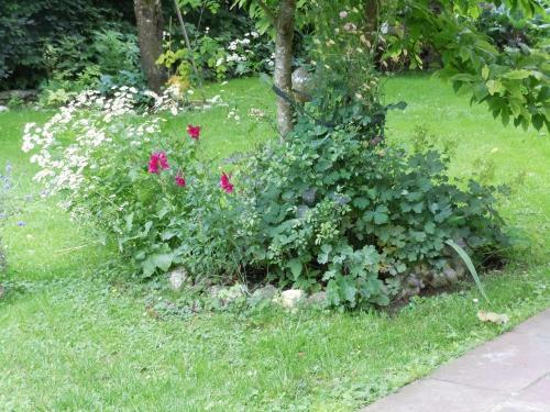 Hostal Appartementhaus Dargham