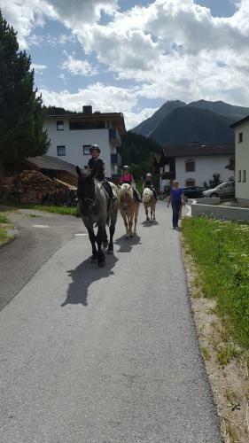 Agroturismo Pferdehof Bachegg