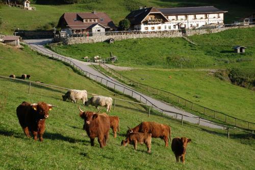 Hostal Ferienwohnung Hochsteinalm