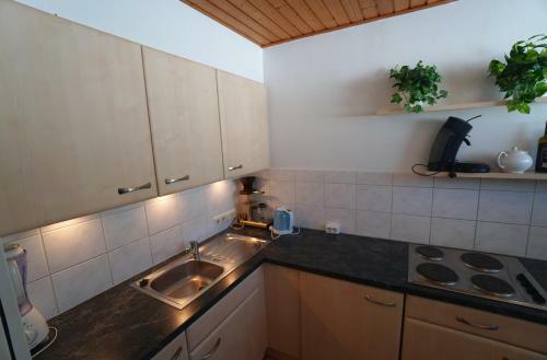 Apartamento Panoramablick Tauplitz